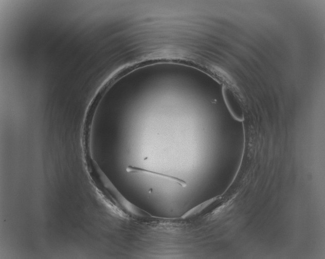 X0000074260942200609011339