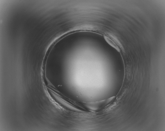 X0000074260944200609011339