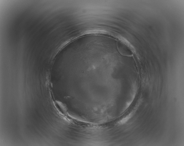 X0000074260945200609011339