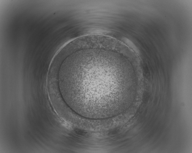 X0000074260948200609011339