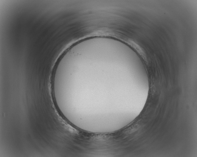 X0000074260950200609011339