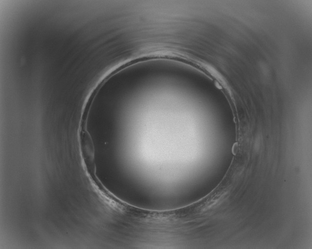 X0000074260951200609011339