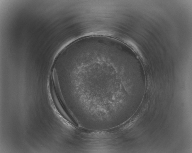 X0000074260952200609011339