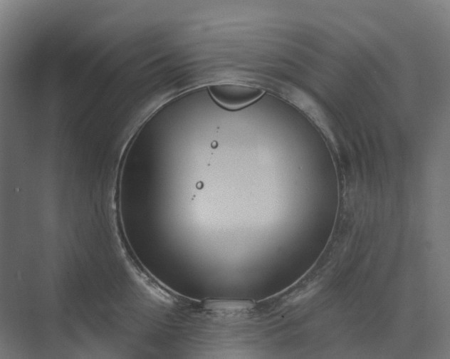 X0000074260954200609011339