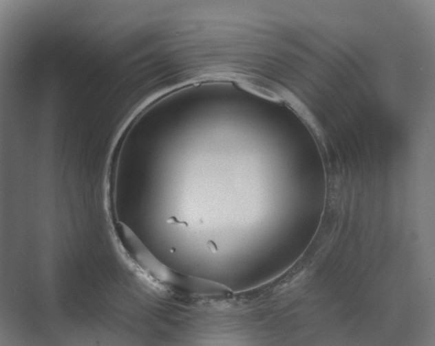 X0000074260955200609011339