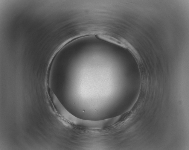 X0000074260956200609011339