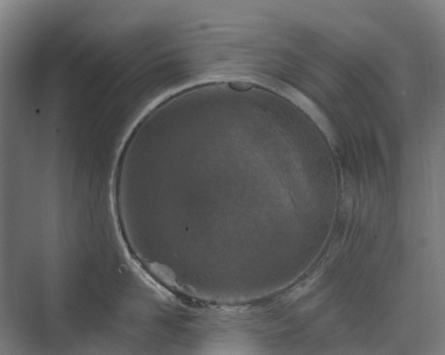 X0000074260958200609011339