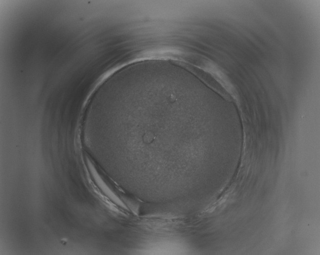 X0000074260960200609011339