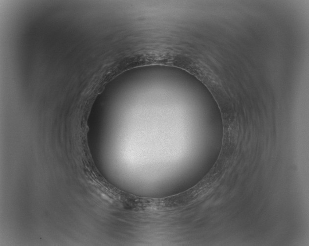 X0000074260961200609011338