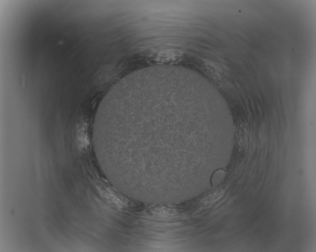 X0000074260962200609011338