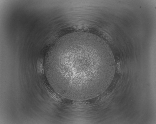 X0000074260963200609011338