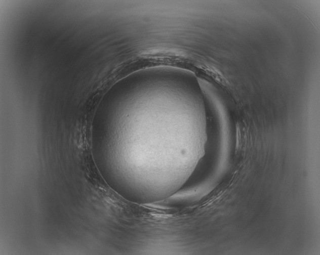 X0000074260965200609011338