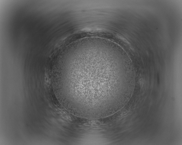 X0000074260966200609011338