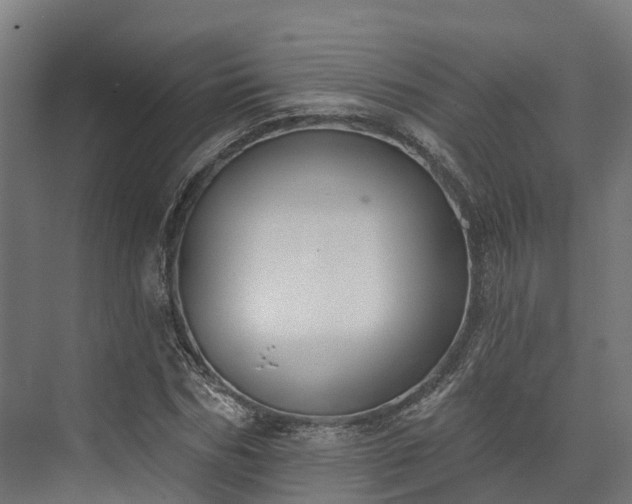 X0000074260970200609011338