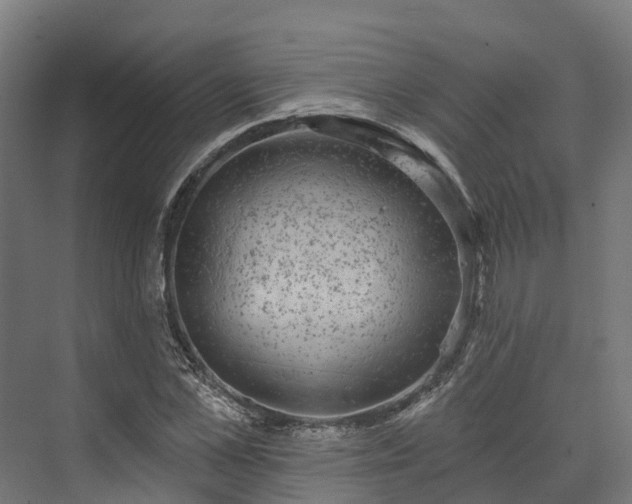 X0000074260973200609011338