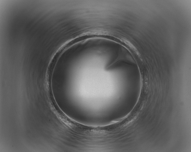 X0000074260981200609011338