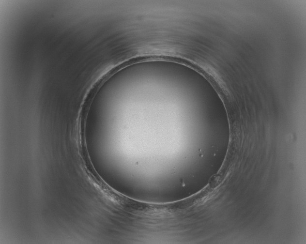 X0000074260982200609011338