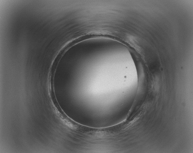 X0000074260984200609011338