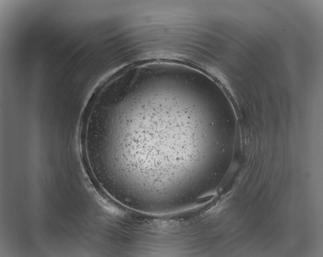 X0000074260987200609011338