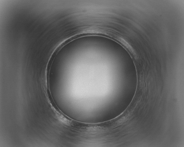 X0000074260988200609011338