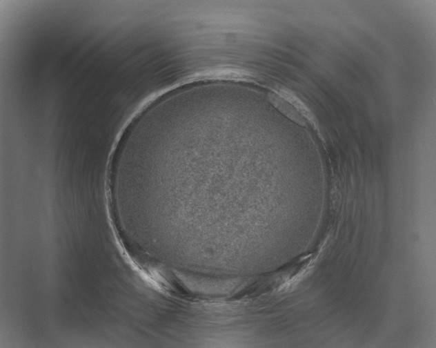 X0000074260989200609011338