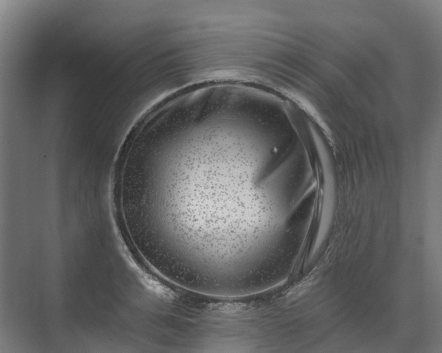 X0000074260991200609011338