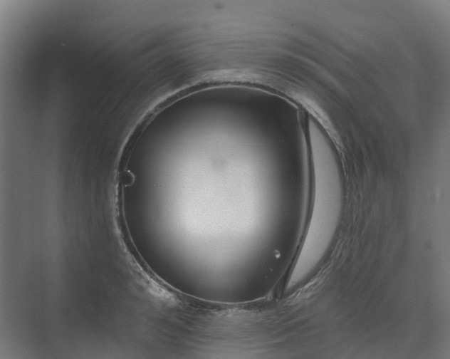 X0000074260992200609011338