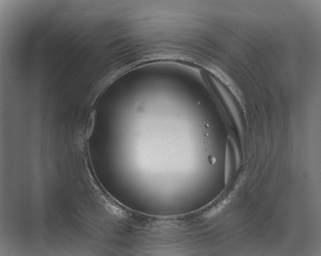 X0000074260993200609011338