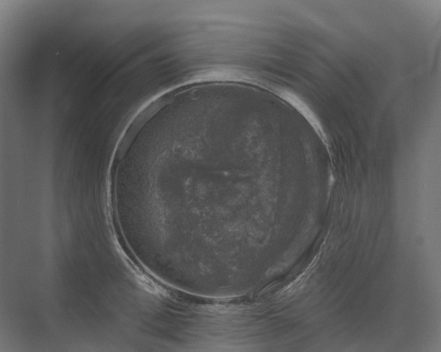 X0000074260996200609011338