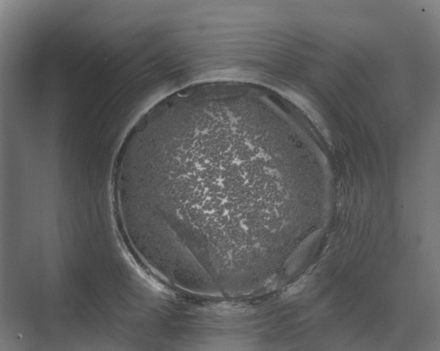 X0000074260998200609011338