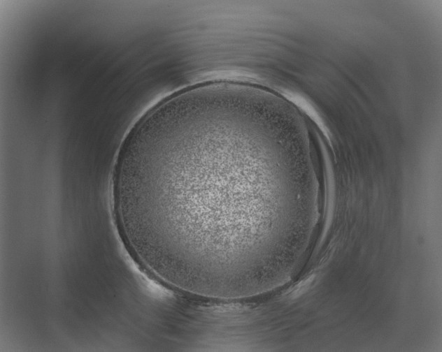 X0000074260999200609011338