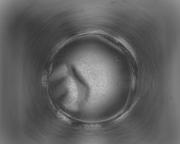 X0000074261001200609011338