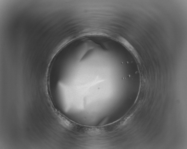 X0000074261002200609011338