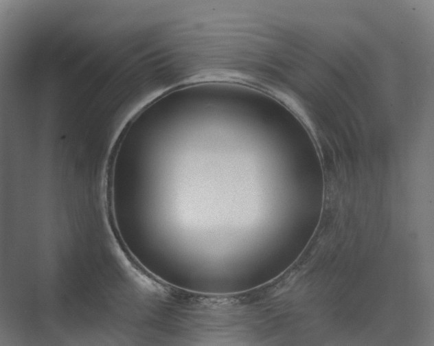 X0000074261003200609011338