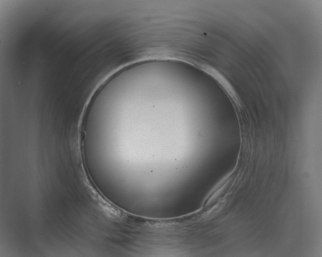 X0000074261004200609011338