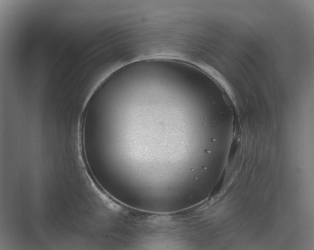 X0000074261006200609011338