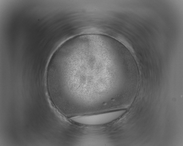 X0000074261008200609011338