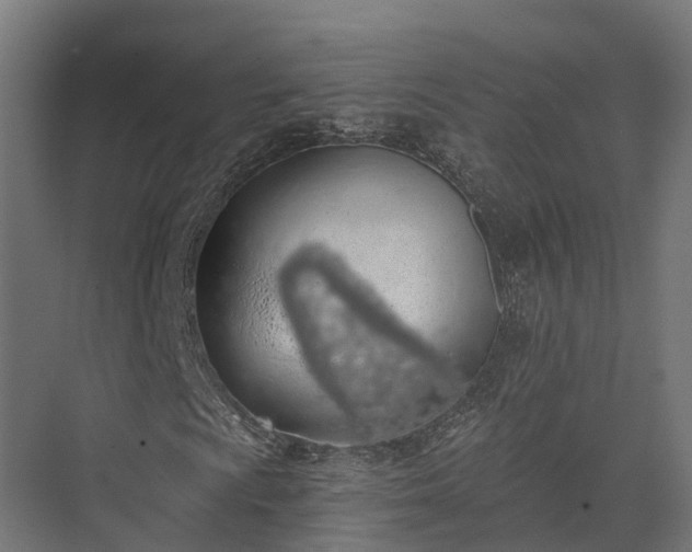 X0000074261009200609011337