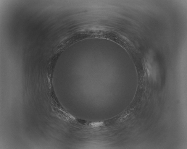 X0000074261013200609011337