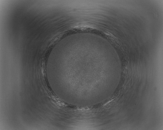 X0000074261014200609011337