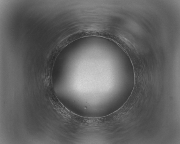 X0000074261015200609011337