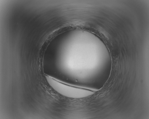 X0000074261016200609011337