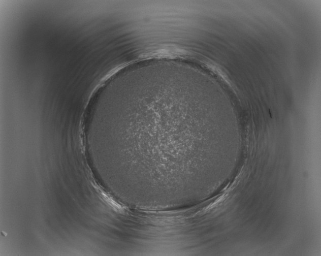 X0000074261018200609011337