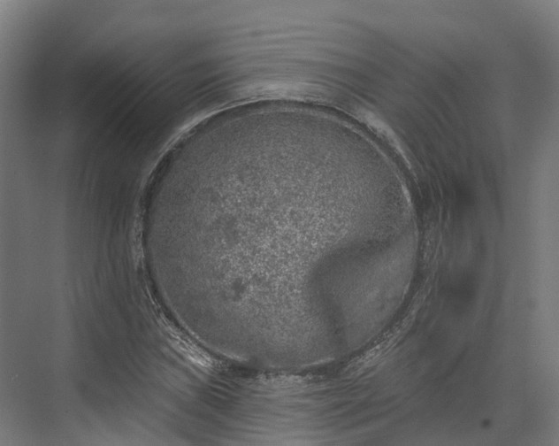 X0000074261019200609011337