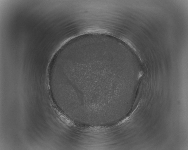 X0000074261022200609011337