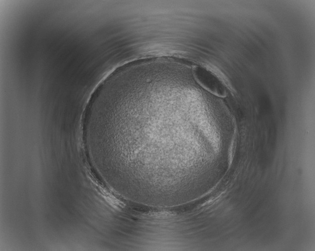 X0000074261023200609011337