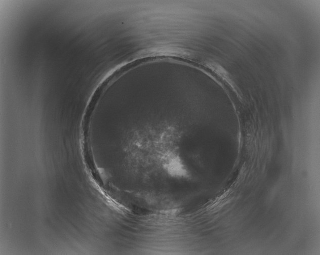 X0000074261024200609011337