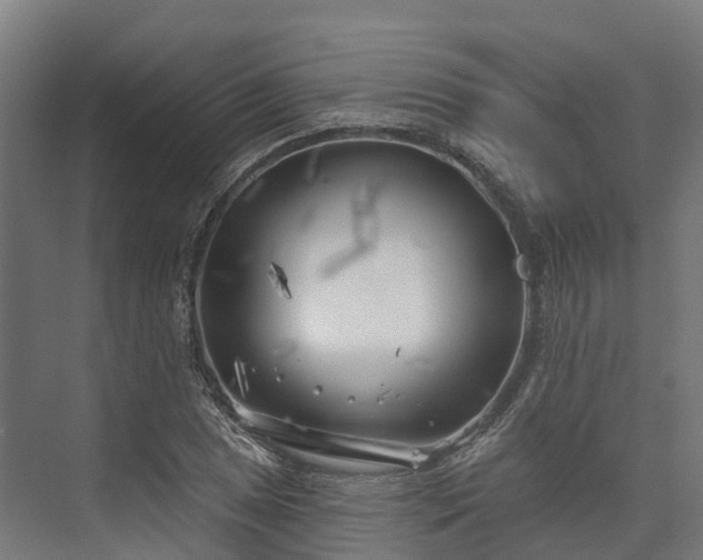 X0000074261025200609011337