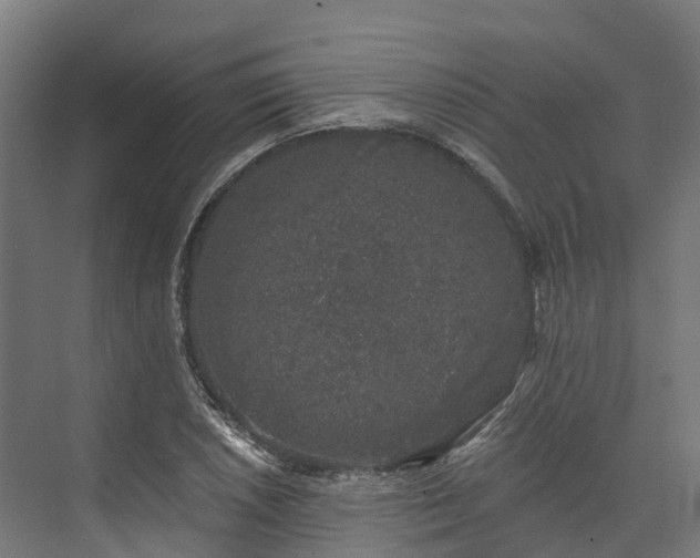 X0000074261026200609011337