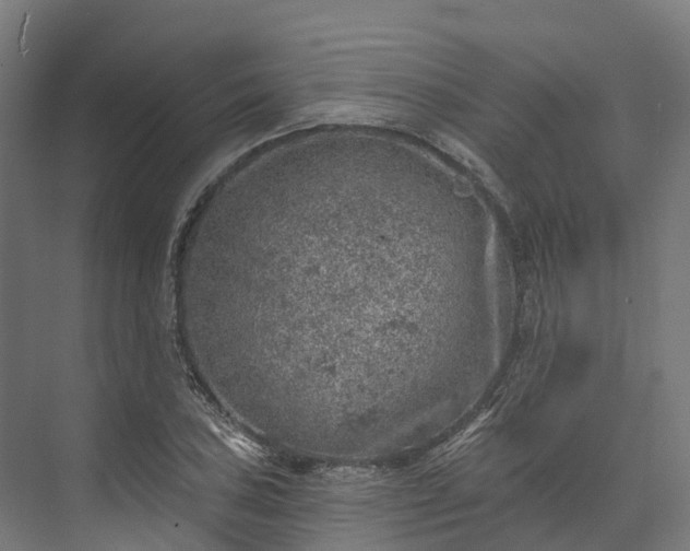 X0000074261027200609011337